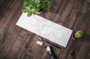 Blank stationery and plants on wooden background. Responsive design mockup.
