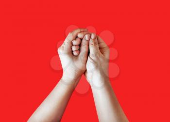 Hand in hand. Female hands depict washing on red background.