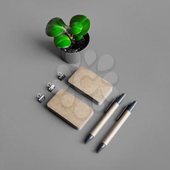 Blank kraft stationery set on gray paper background. Business cards, pens and plant. Template for branding identity.
