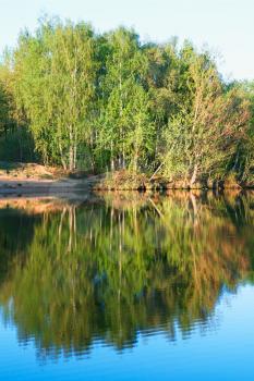 Vertical aligned trees with river reflections background
