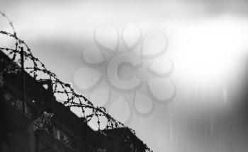 Diagonal prison barbed wire during rain hd