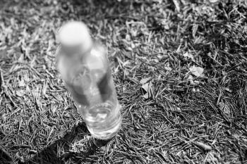 Black and white bottle of drinking water in Norway forest bokeh background hd