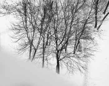 Diagonal black and white winter windowsill with trees background hd