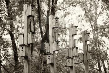 Vertical bird feeder city park bokeh background hd