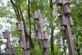 Vertical bird feeder city park bokeh background hd