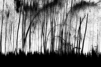 Tilted black and white trees on field backdrop hd