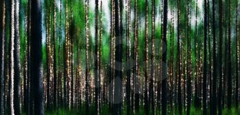 Horizontal vivid forest wood abstraction background backdrop