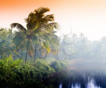 Horizontal vivid indian sunset palm on lake beach background backdrop