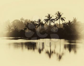 Horizontal vintage sepia palms reflections on lake background backdrop postcard