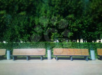 Empty park benches background