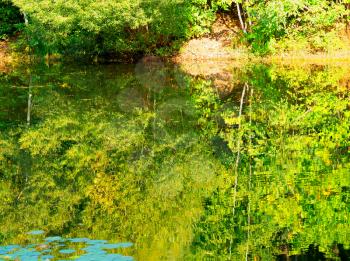 Reflections of autumn forest on park pond landscape background