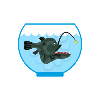 Deep sea fish in  Aquarium. Terrible  anglerfish in captivity. Predatory water monster as pet.