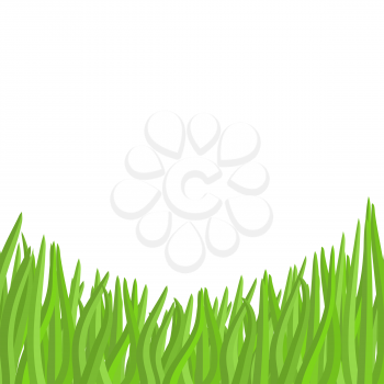 Green grass on a white background. Vector illustration garden.
