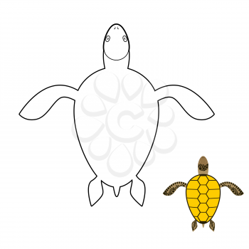 Turtle coloring book. Marine reptiles. Vector illustration

