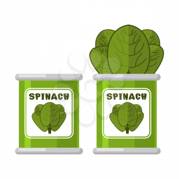 Spinach in tin. Useful Herbs. Green lettuce leaves. Dietary vegetarian food
