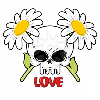 Skull and flowers. Daisies and head of skeleton. Crossed field flowers.
