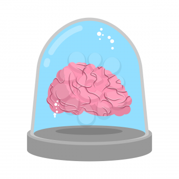 Brain in glass bell. Laboratory research. Study of mind.
