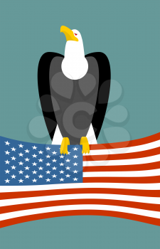 Bald eagle and American flag. USA national symbol of bird. Large birds of prey and flag state
