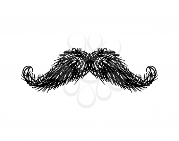 Mustache isolated. Facial hair on white background