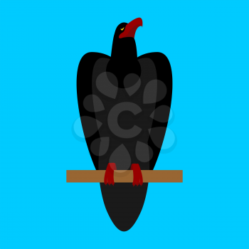 Black Raven isolated. Big bird on blue background
