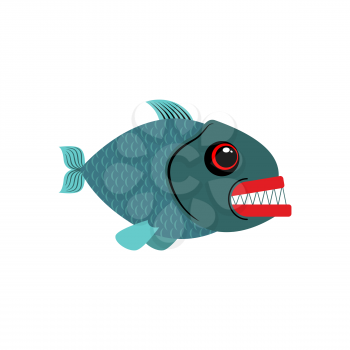 Piranha isolated. See Predatory fish on white background