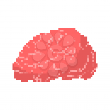 Brain pixel art. Human Brains pixelated Isolated