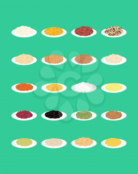 Cereal in plate set. Rice and lentils. Red beans and peas. Corn and barley gritz. Millet and cuscus. Oat and buckwheat. Bulgur and wheat. Healthy food for breakfast. Vector illustration
