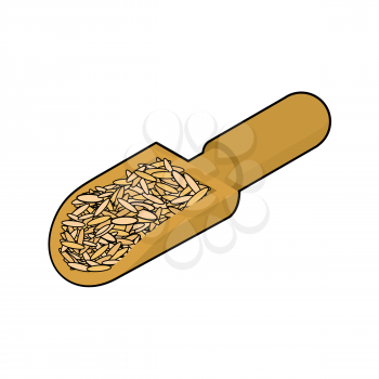 Oat in wooden scoop isolated. Groats in wood shovel. Grain on white background. Vector illustration
