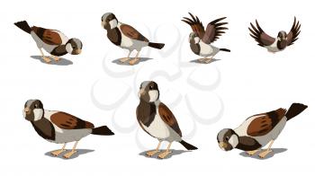 Digital painting of the Eurasian Tree Sparrows