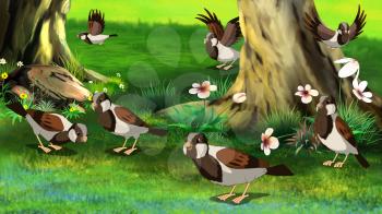 Flock of Sparrows 
Feeding in the Forest.
Digital painting  full color illustration.