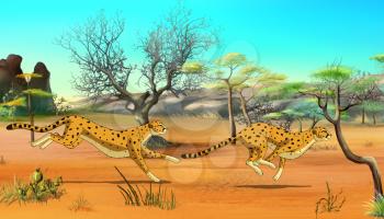 Two Cheetahs hunting in the African savannah. Digital painting  cartoon style full color illustration.