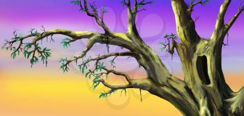 African Tree with Big Hollow in a Sunny Summer day. Digital Painting Background, Illustration in cartoon style character.