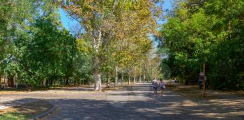 Odessa, Ukraine 16.09.2019. Shevchenko Park in Odessa, Ukraine, on a sunny autumn day