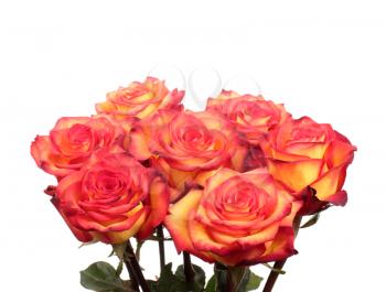 Red and yellow roses bouquet isolated on white background