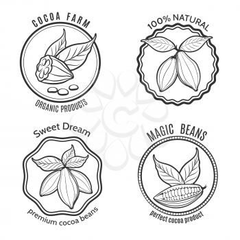 Hand drawn cacao logo set and chocolate labels, Vector illustration