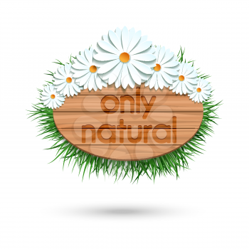 Wood panel banner with camomile bouquet and grass isolated on white. Vector illustration