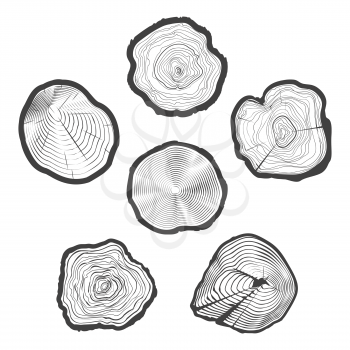 Tree-rings vector set. Wood ring saw cuts with linear tree texture