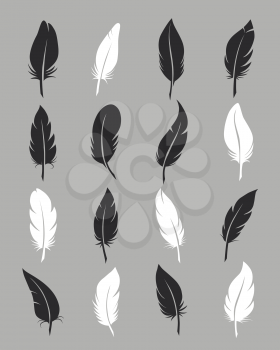Feathers icons. Fluffy black and white feather vector symbols on grey background