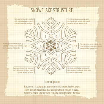 Snowflake structure vector. Vintage poster of snowflake structure