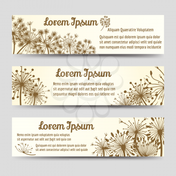Vintage horizontal banners template design with dandelions. Vector illustration