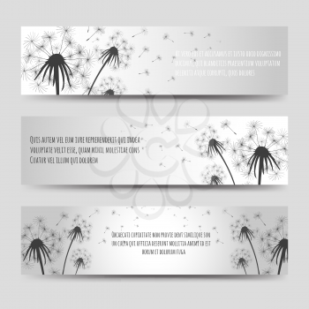 Monochromic horizontal banners set with dandelions and seeds. Vector illustration
