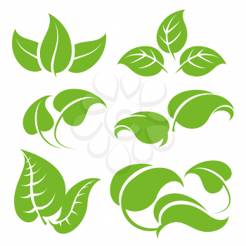 Green leaves vector set isolated on white background