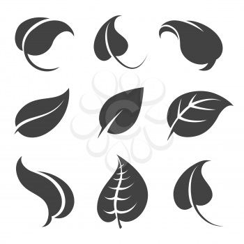 Grey leaves silhouettes isolated on white background. Vector illustration