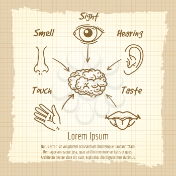 Human sense organs synopsis vintage poster design. Vector illustration