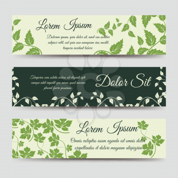Eco horizontal banners templates with green floral branches. Vector illustration