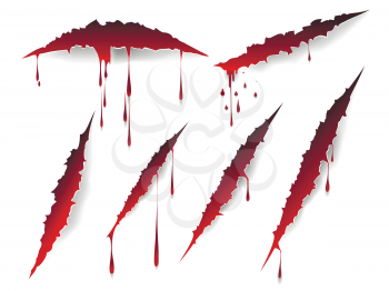 Vector bloody scratches and blood drops isolated on white background