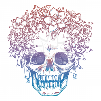 Colorfull skull and flower headdress isolated on white background. Vector illustration