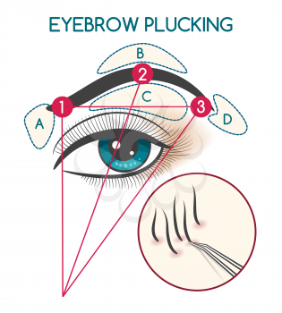 Eyebrow plucking vector illustration. Tweezing eyebrows diagram with eye and brow