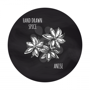 Hand drawn spice anise in blackboard round. Vector anise sketch icon design