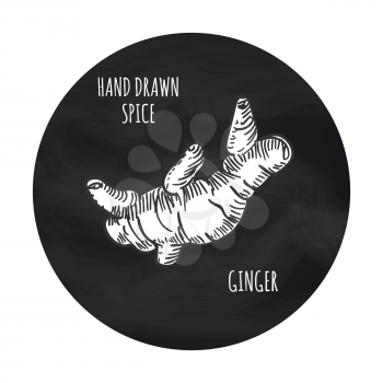 Hand drawn spice vector illustration. Black and white clove ginger on blackboard backdrop